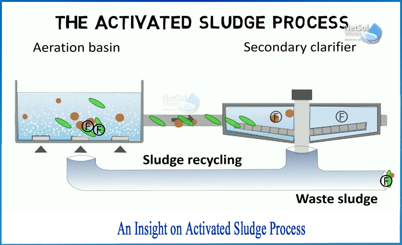 Activated Sludge Process (ASP)