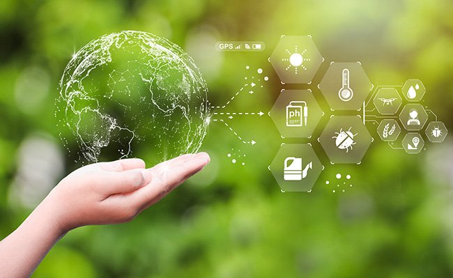 Environmental Reports